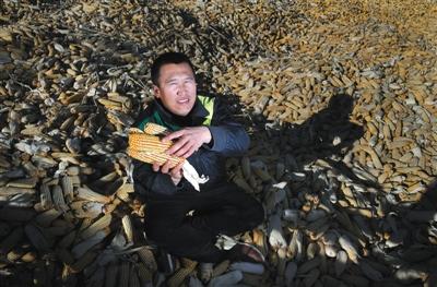 孤独的治沙人：三十年间种出五千亩林地