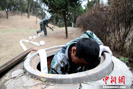 黄帝陵的护林人 人均管理一万棵柏树